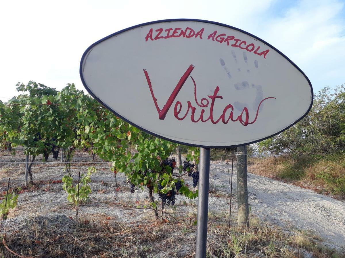 Agriturismo "Veritas" Bed & Wine Casaleggio Boiro Екстер'єр фото