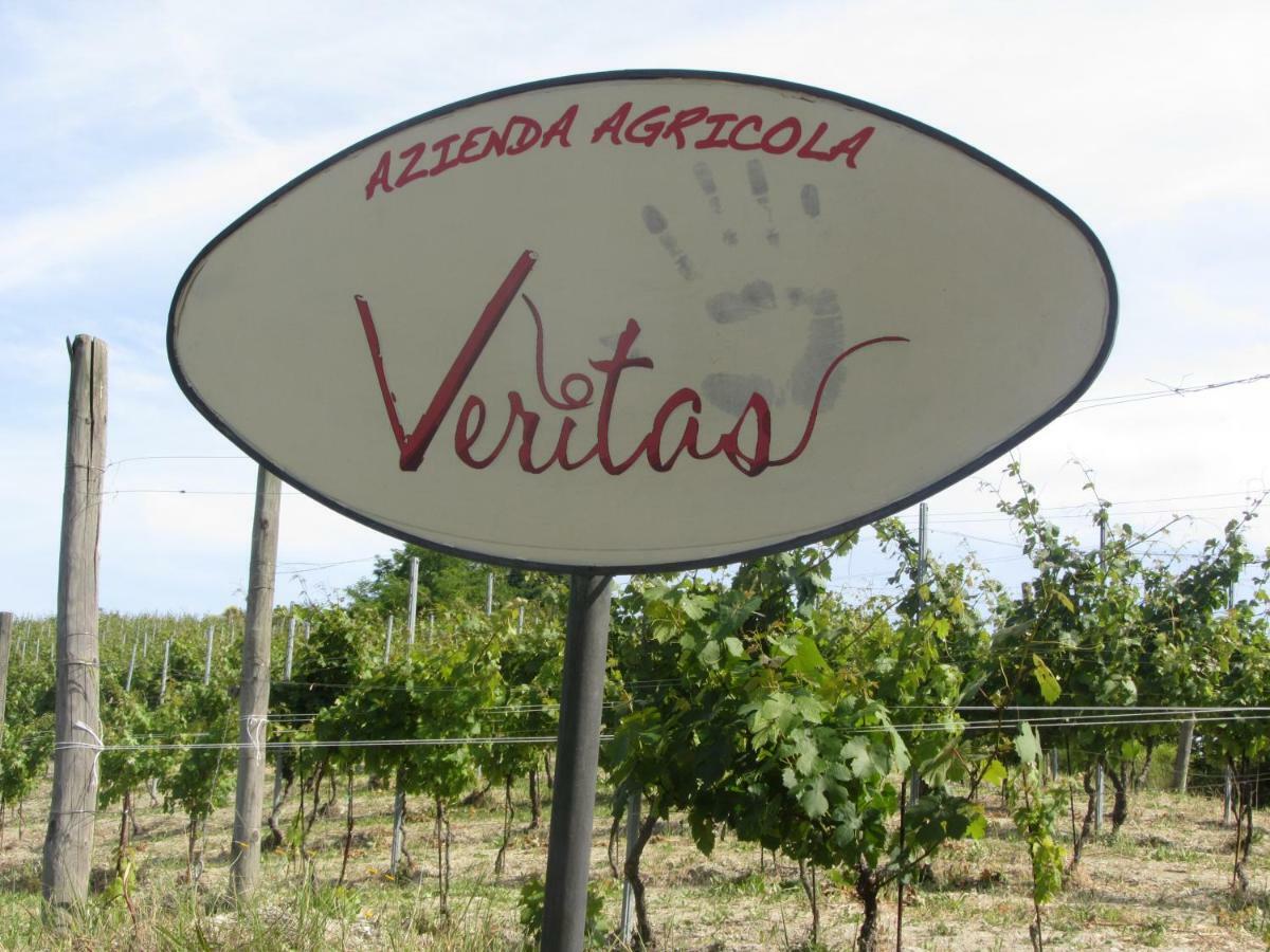 Agriturismo "Veritas" Bed & Wine Casaleggio Boiro Екстер'єр фото